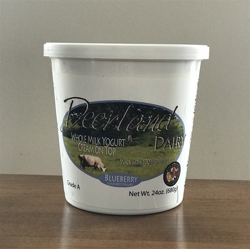 Blueberry Whole Milk Yogurt 24 oz