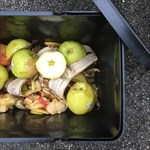 Add kitchen scraps and then return the bin. You do not have to fill up your bin before bringing it back.